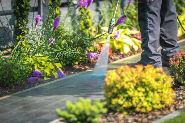 Best Pool Deck Cleaning in Okawvle, IL