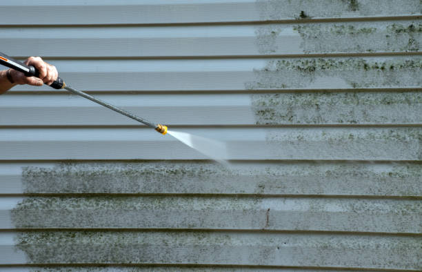 Best Residential Pressure Washing in Okawvle, IL